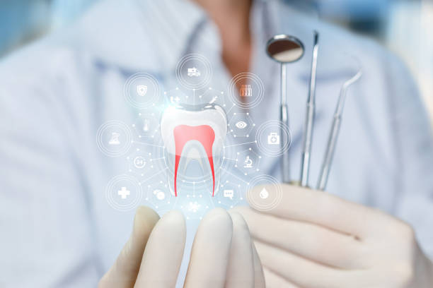 Best Pediatric Dentistry  in Kingston, IL